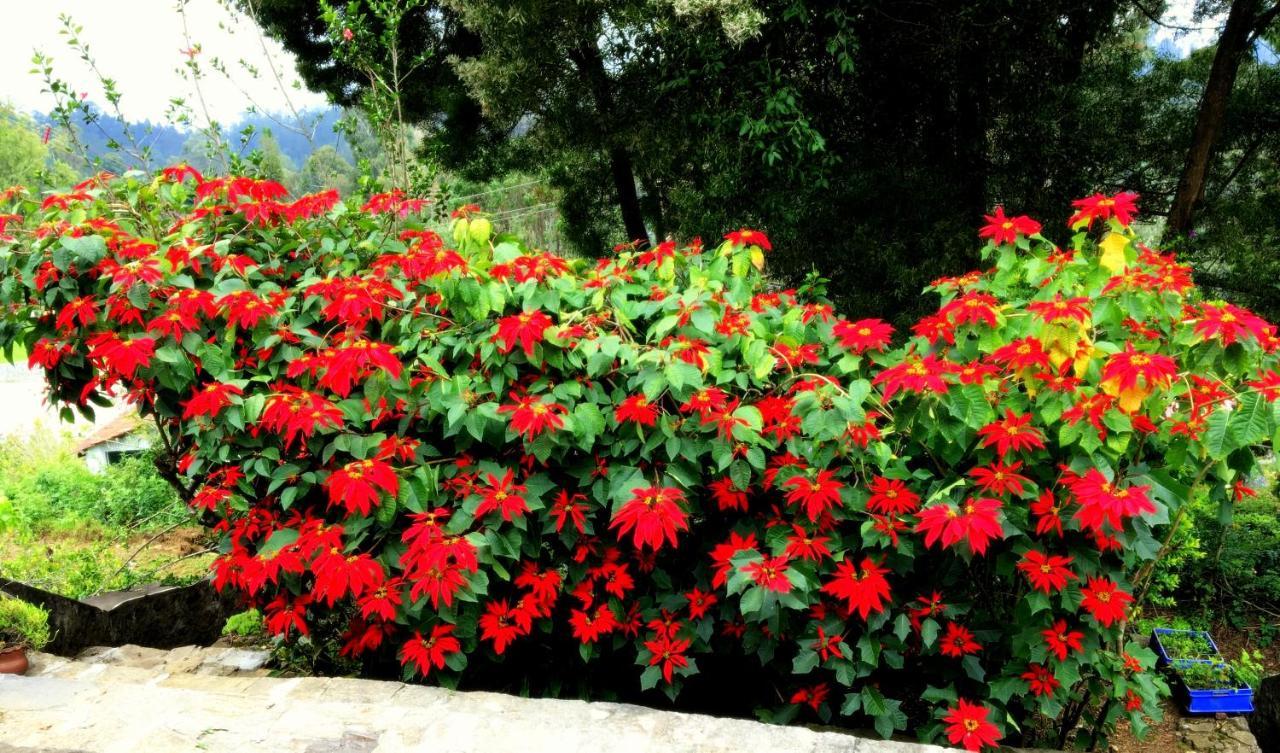 Maruti Villa Kodaikanal Exterior photo