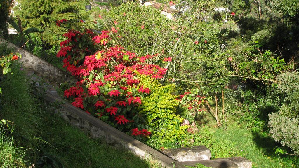 Maruti Villa Kodaikanal Exterior photo